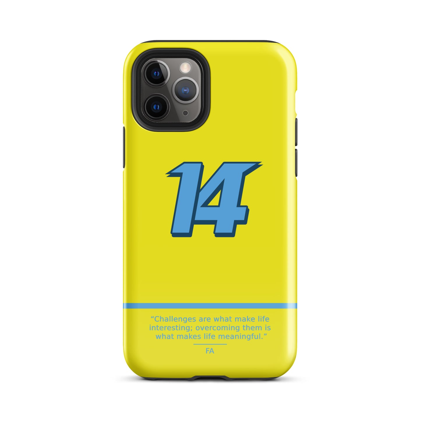 Fernando Alonso N14