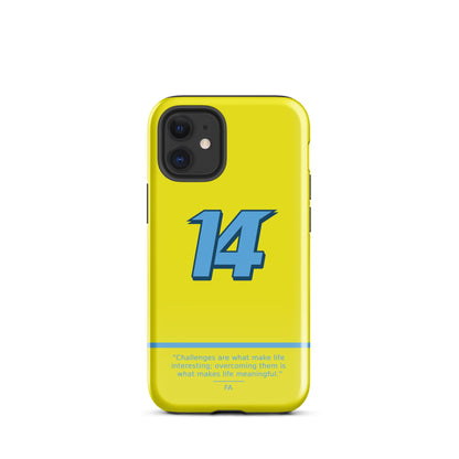 Fernando Alonso N14