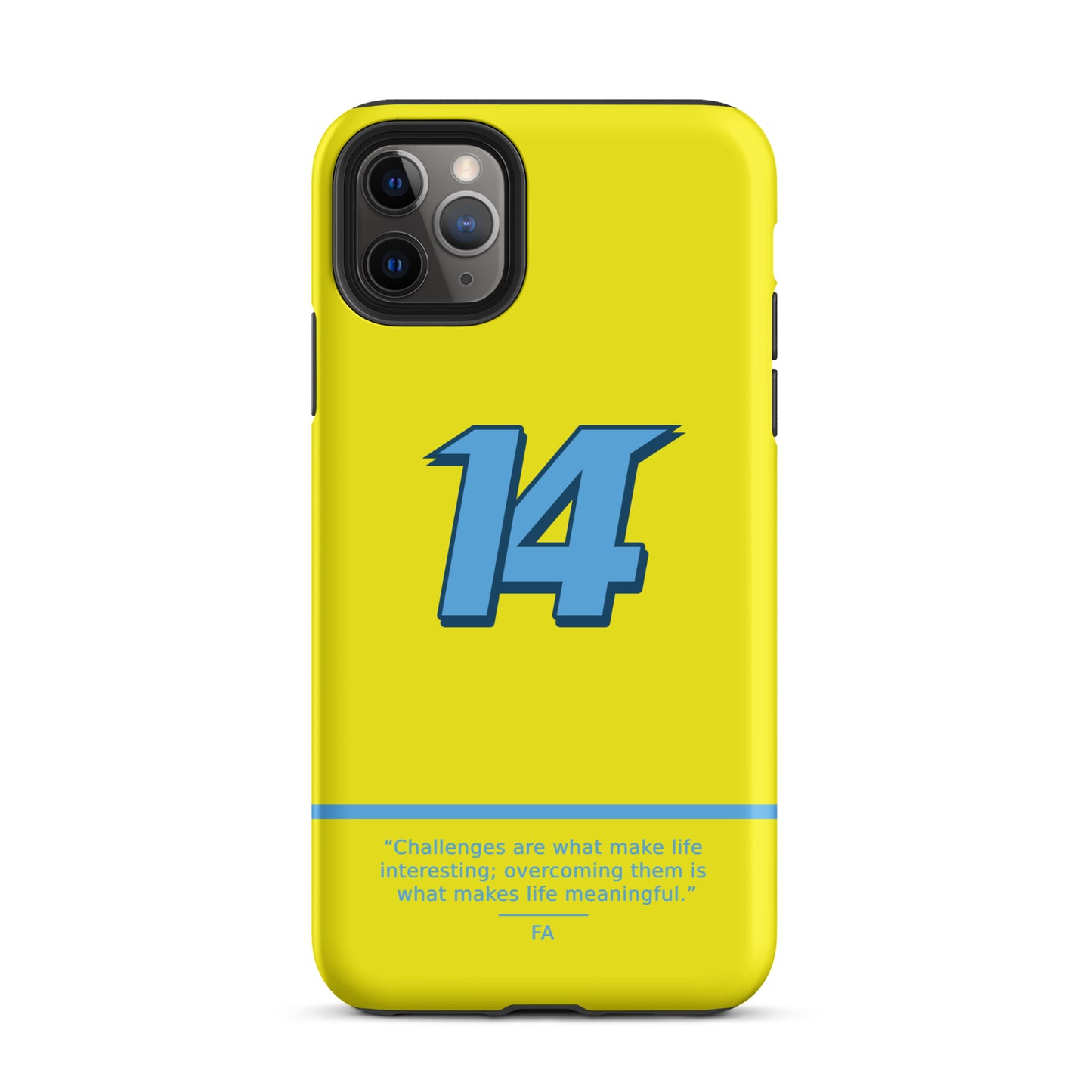 Fernando Alonso N14