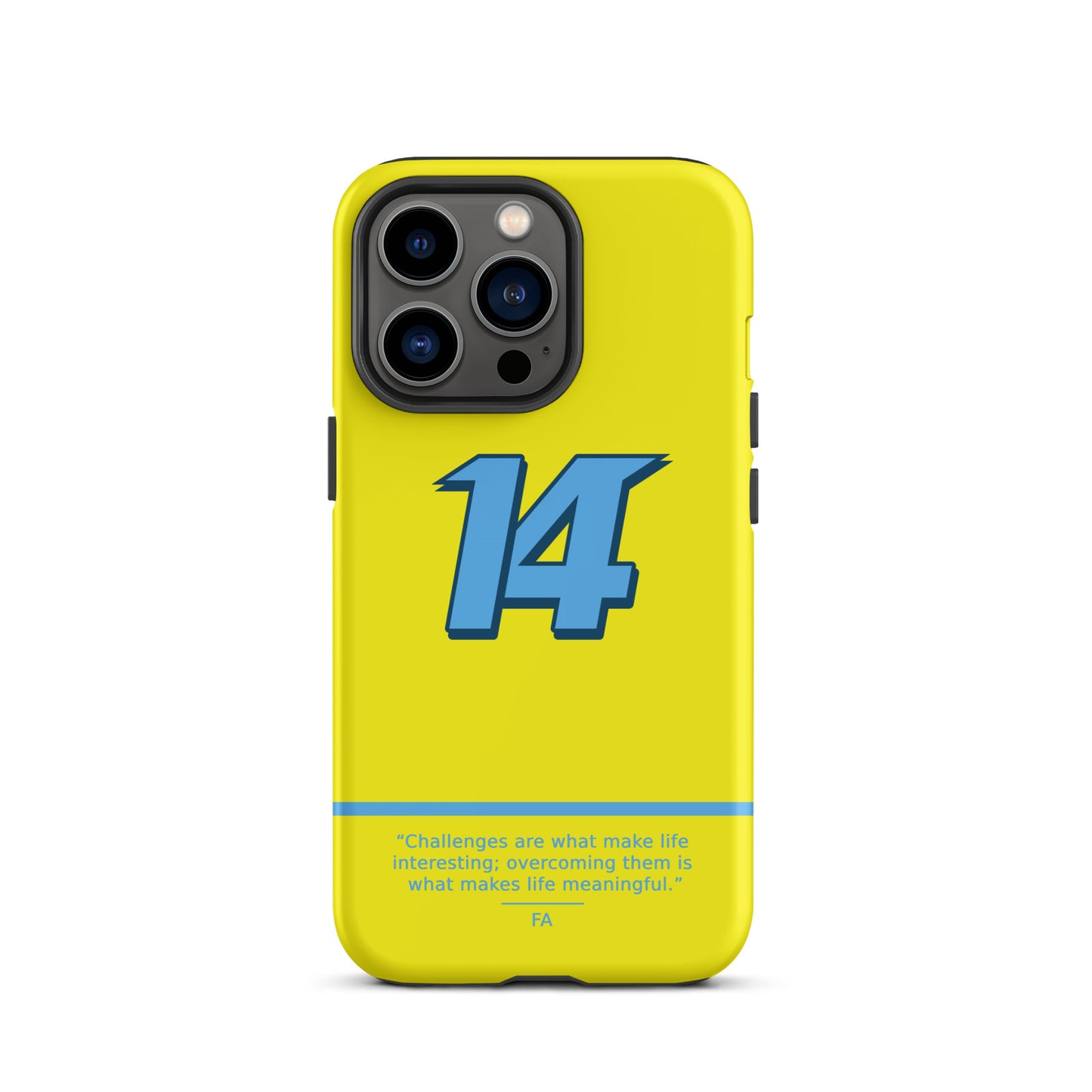 Fernando Alonso N14